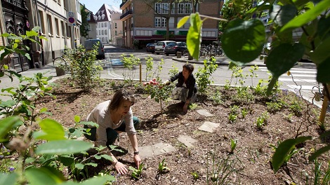 désimperméabilisation des sols à Strasbourg par les habitants